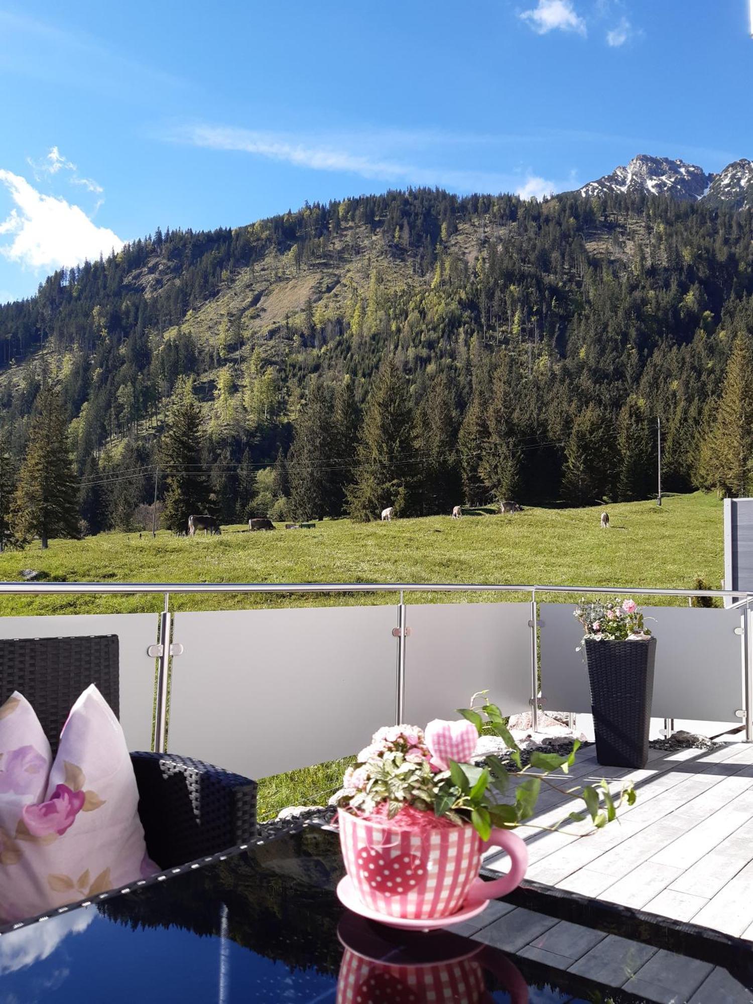 Apartament Diana Vils